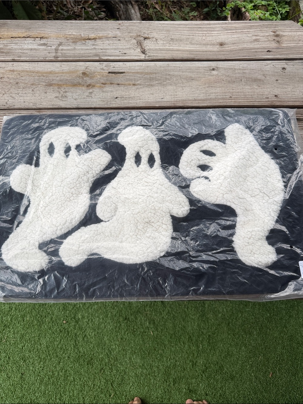 Pottery Barn Ghost 👻 Sherpa Pillow Cover BNWT